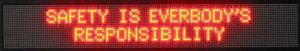 IDS12.jpg